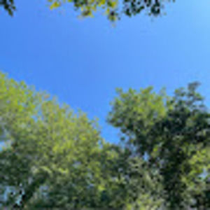 Meet your Posher, Ariana